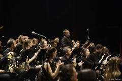 echo-feu-gd-synt-w-16-sur-66