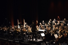 echo-feu-gd-synt-w-28-sur-66