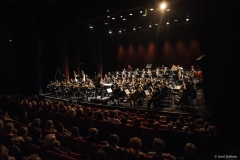 echo-feu-gd-synt-w-29-sur-66