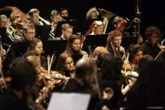 echo-feu-gd-synt-w-36-sur-66