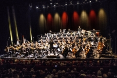 echo-feu-gd-synt-w-4-sur-66